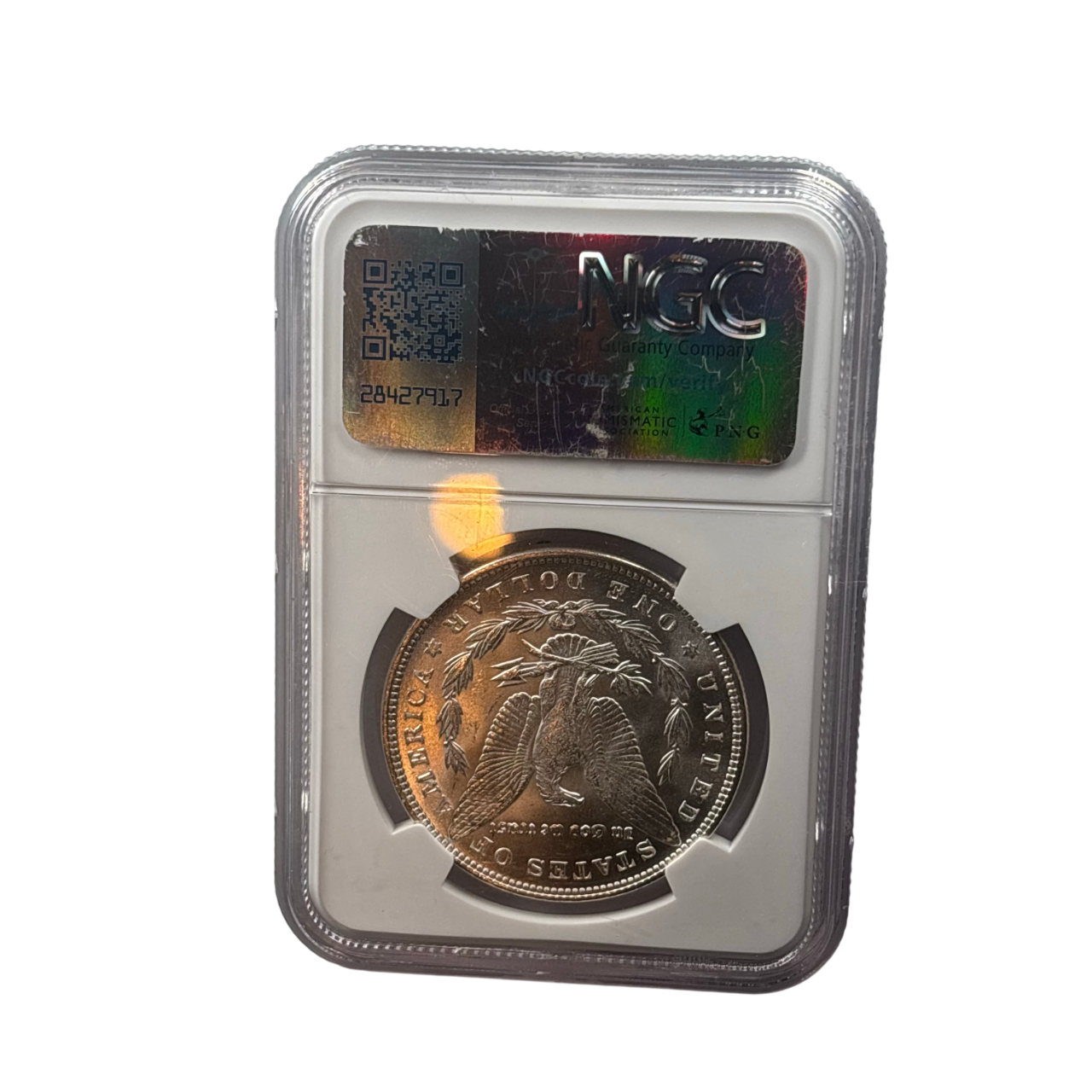 1889 Morgan Silver Dollar | NGC MS66 | Premium Gem BU