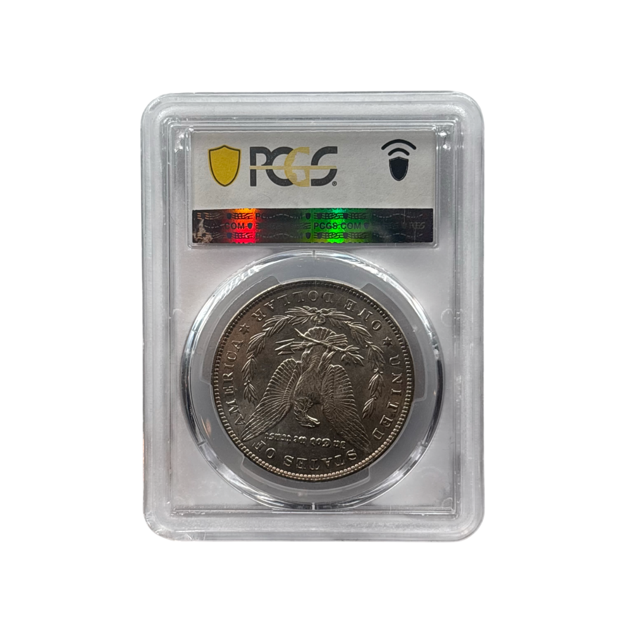 1892 Morgan Silver Dollar | PCGS MS62 | Brilliant Uncirculated