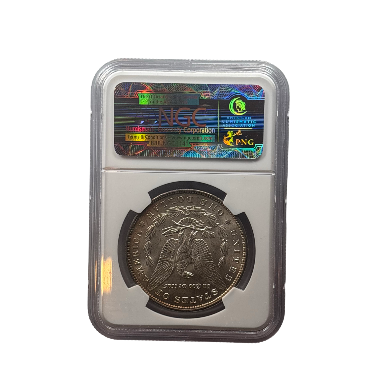 1896 Morgan Silver Dollar | NGC MS64 | Choice Near Gem