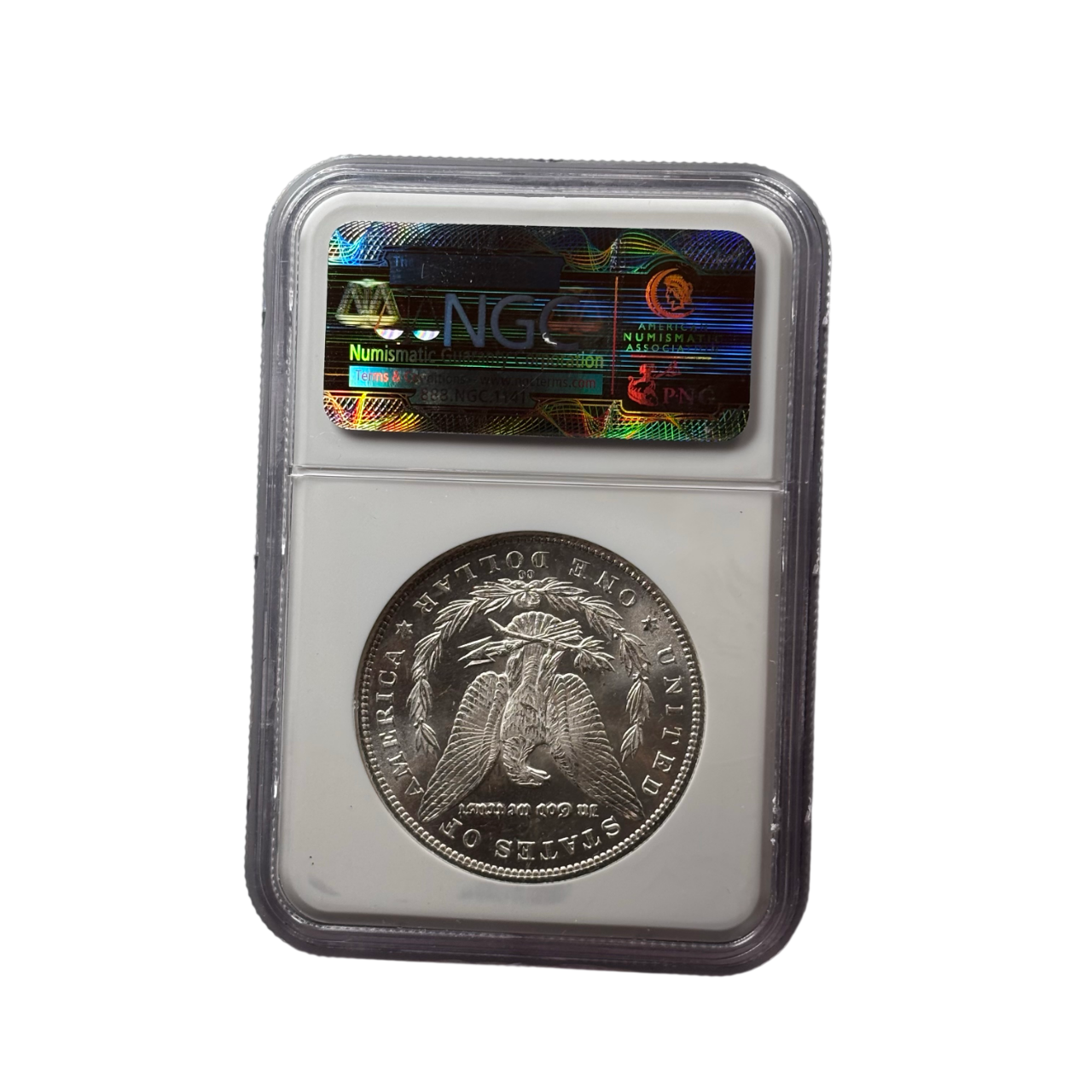1884-CC Morgan Silver Dollar | NGC MS65 | Carson City Mint | Gem BU | Cert #3290130-001